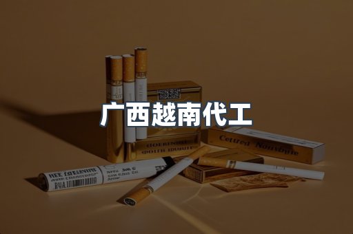 广西越南代工